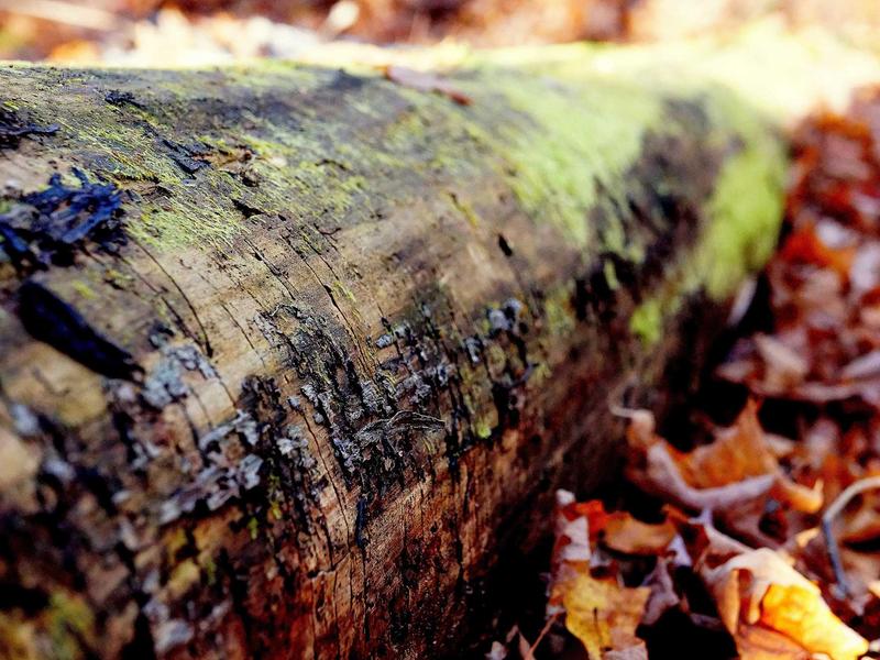 sudoku relaxation mode screenshot 4